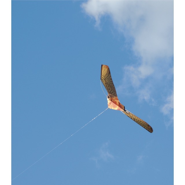 Oiseau Effaroucheur Faucon 970X470 MM référence fournisseur 2571055
